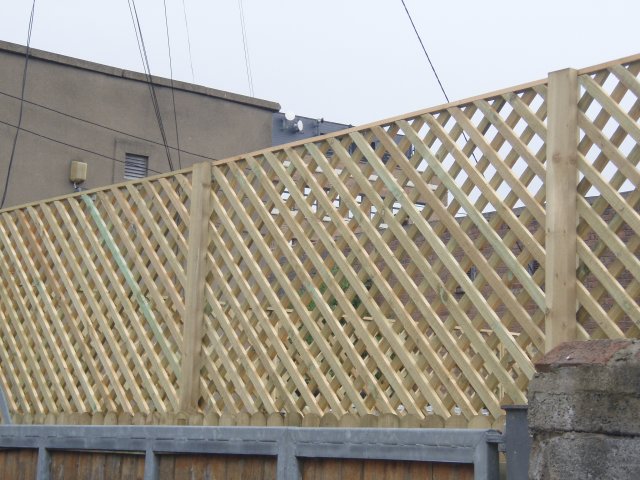 Diamond Trellis with Capping on Top of Wall Dun Laoghaire